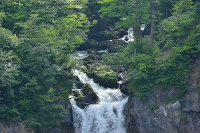 DSC_3974 (Large).JPG